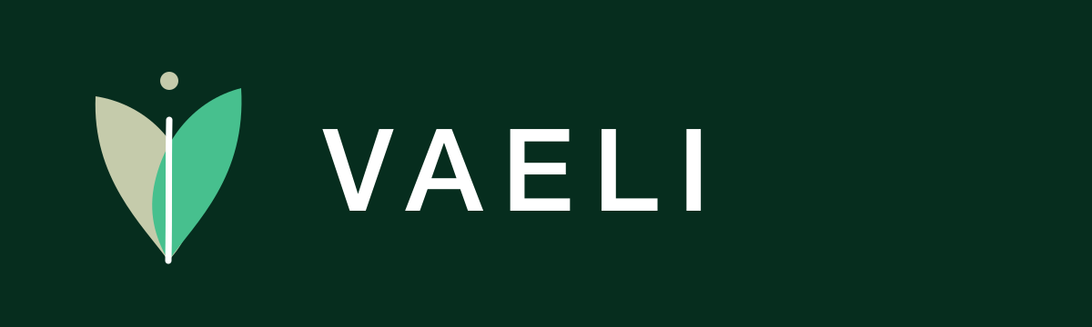 Sk.vaeli.shop.com